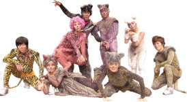 뮤지컬 어린이 캣츠 출연진.