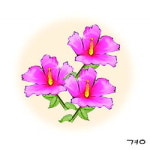 무궁화… 샤론의 장미