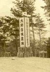 [한반도, 소나무가 사라진다] 3. 한반도의 소나무 - 산림