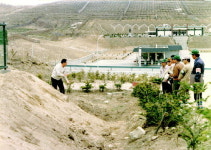 [한반도, 소나무가 사라진다] 3. 한반도의 소나무 - 산림