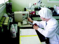 [중소기업 희망찾기] 4. 웰빙엘에스