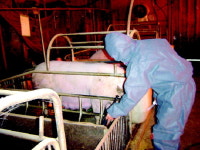 [중소기업 희망찾기] 4. 웰빙엘에스