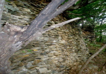 [숲에 on] 영월 하동면 큰재마루 대야산성