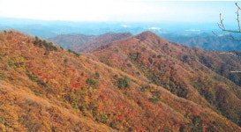 [강원의 명산] 71. 원주 매봉산