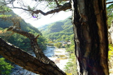 [강원의 명산] 73. 동해 무릉계곡·청옥산