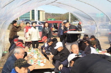 춘천 신촌1리 경로잔치