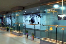 [강원의 테마박물관] 23. 영월동굴생태관