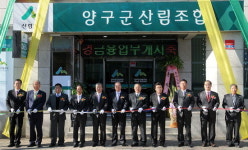 양구군 산림조합 상호금융업무 개점