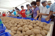 [영혼의 작물, 감자의 가치 재발견] 3. 감자, 문화로 태어나다