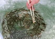 그래, 기다리길 참 잘했다