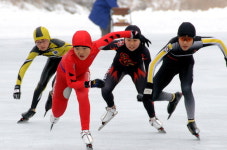 초교 빙상 춘교부초 남녀 동반 전국제패
