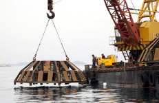 고성 바다목장 조성