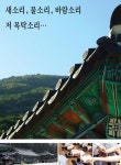 새소리, 물소리, 바람소리 저 목탁소리…