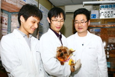 미세한 신경세포 자극 운동장애 재활 가능