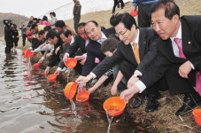 2010 봄, 연어의 꿈 잔치