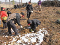 북부지방산림청 영서·수도권 나무심기 착수