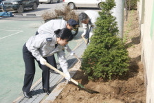 영월경찰서 나무심기 행사