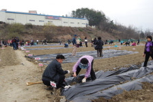 흙이랑 이웃이랑 주말농장 개장