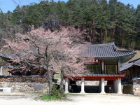 [영화 속 강원도] 14. 삼척 신흥사