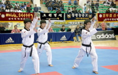 태권도연맹회장배 품새대회