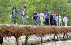 숲에서 1000년 자연을 마주치다