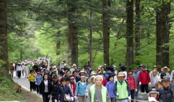 숲에서 1000년 자연을 마주치다