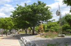 영월고 자랑 한마당