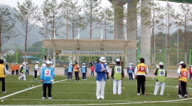 도지사기 게이트볼