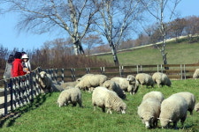 도내 리조트 가정의 달 이벤트