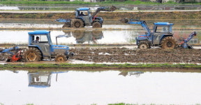 단비 내린 뒤 활기찬 농촌 들녘