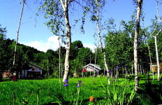 [강원의 테마박물관] 40. 횡성 미술관자작나무숲