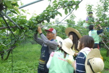 강원체신청 의료봉사