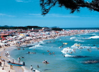 별이 쏟아지는… 젊음이 넘치는… 해변으로 가요