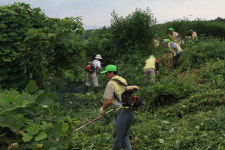 춘천 신촌1리 퇴비증산사업