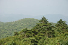 [강원의 명산] 109. 정선 함백산