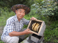 벌꿀처럼 달콤한 노년 즐긴다