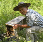 벌꿀처럼 달콤한 노년 즐긴다