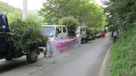 양구 고대리 새농촌건설운동 추진단 퇴비증산 운동