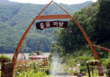 각양각색 들꽃 즐겨보세요