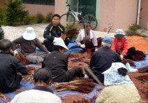 213. 장광일 이장 (양구군 동면 원당리)