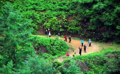 봄내 길 걸으며 가을 느끼세요