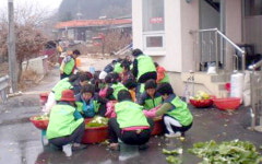 홍천 모곡2리 새마을부녀회 김장 전달