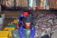 공장문 닫아 일자리 잃을까 불안