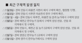 코밑 접근 구제역 차단 안간힘