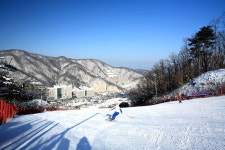 [스키장을 가다] 5. 홍천 대명 비발디파크