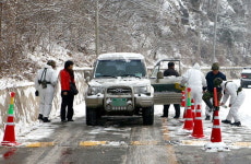 홍천서도 구제역 양성 판정