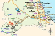 [문화재, 사람에게 말을걸다] 15.  동해 무릉반석