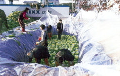 나눔의 즐거움 함께 느껴요