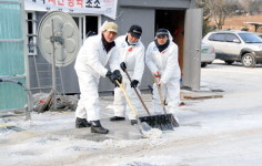 정선군의회 구제역 방역초소 체험 근무