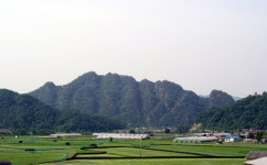 강변따라 400리길 파릇파릇 봄맞이